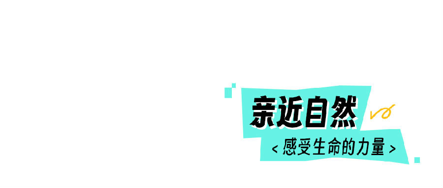 3.jpg 圖片