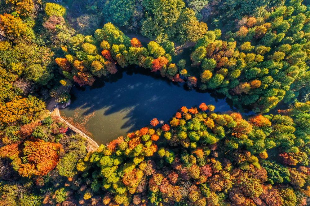 波爾登茗湖航拍（聶品）.jpg